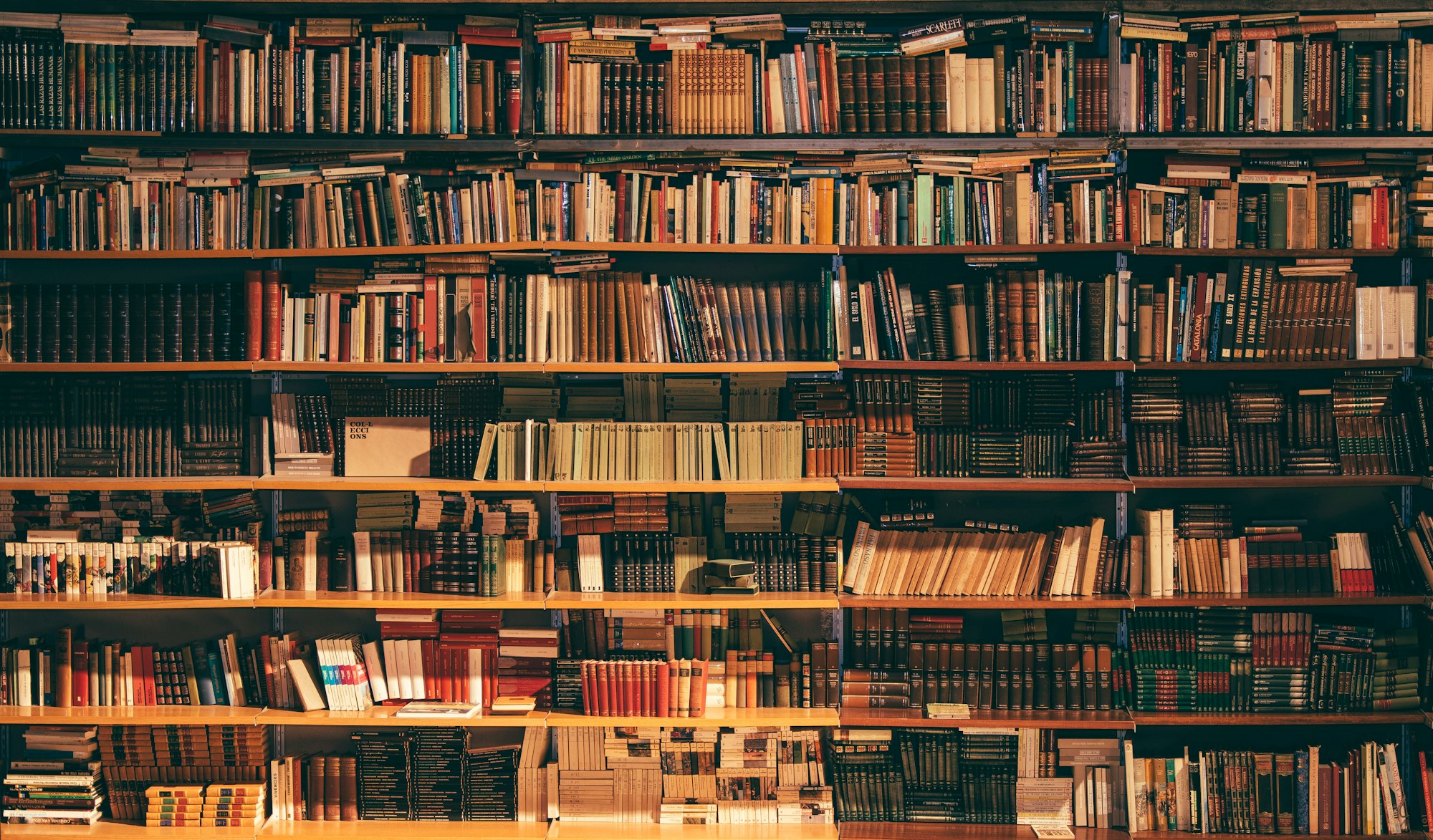 اختيار خطة البحث العلمي